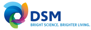 DSM logo