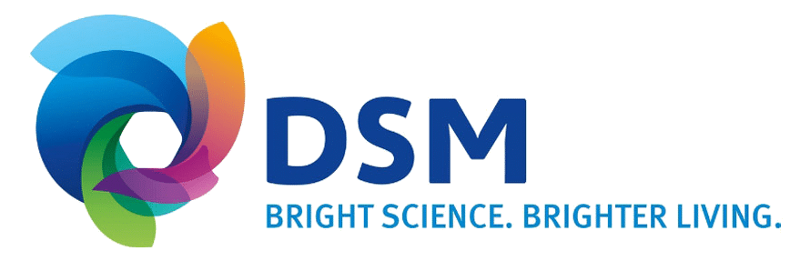 DSM logo